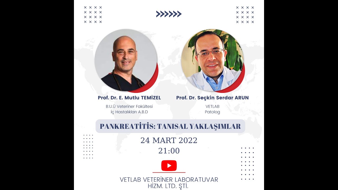 Pankreatitis: Tanısal Yaklaşımlar