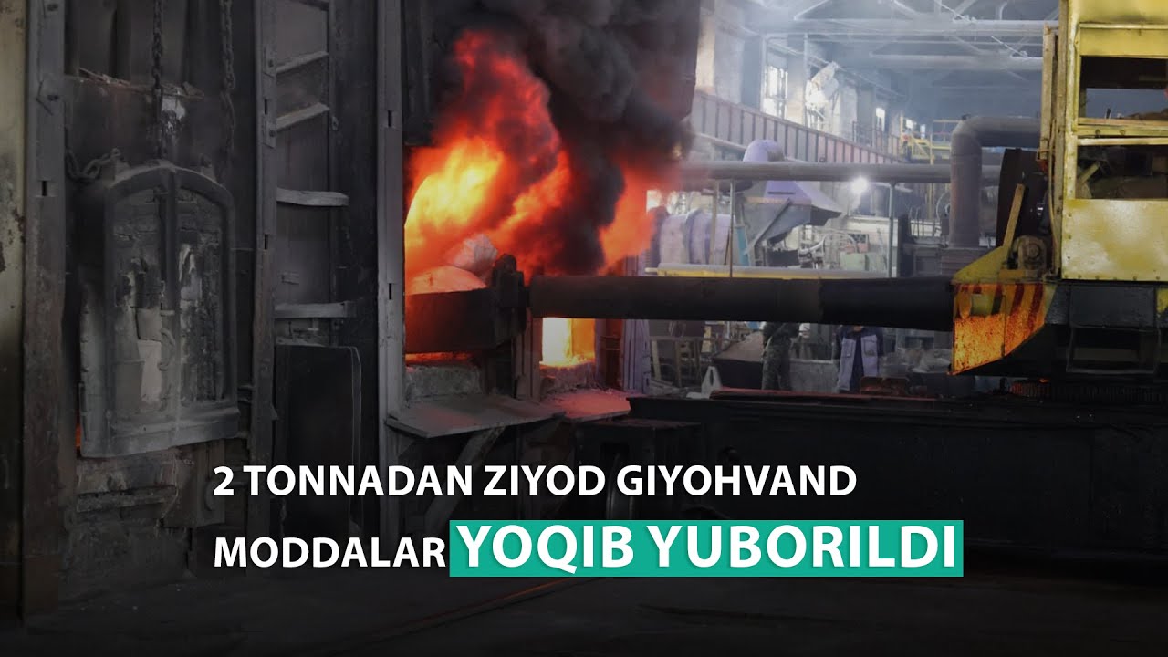 2 tonnadan ziyod giyohvand moddalar yoqib yuborildi