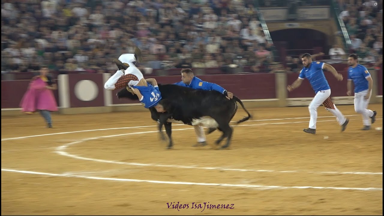 Concurso de roscaderos Zaragoza 11/10/2024 - EJEA DE LOS CABALLEROS I - HD
