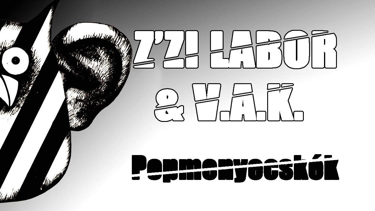 Z'zi Labor - Az asszony hogyha s&iacute;r