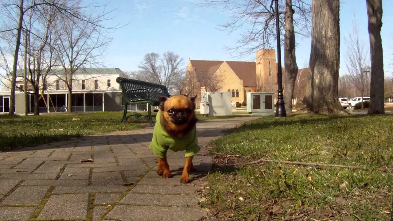 Abbi's Happy Video