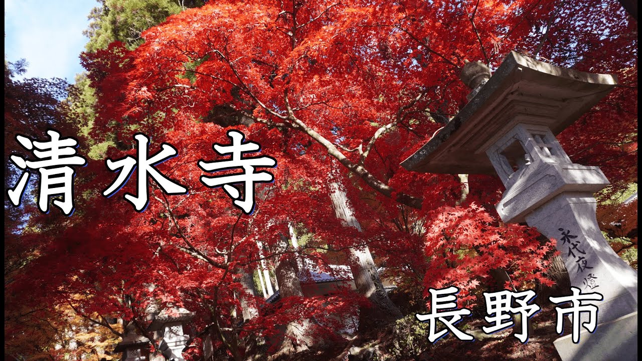 【長野の絶景】清水寺の紅葉が見頃!美しすぎる秋の絶景