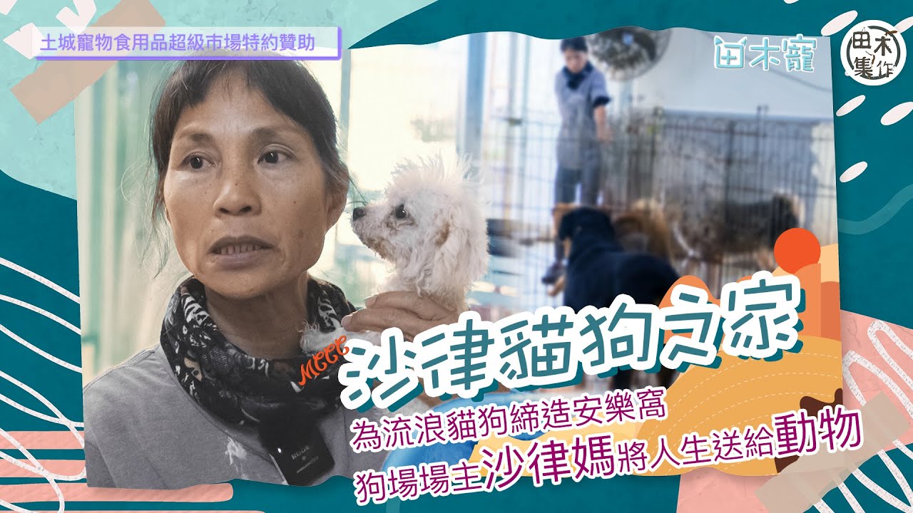 田木・寵丨為流浪貓狗締造安樂窩丨狗場場主沙律媽將人生送給動物丨田木集作