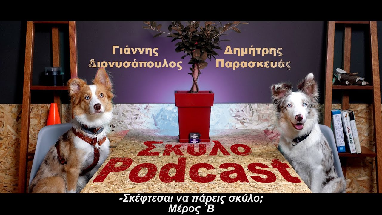 Σκέφτεσαι να πάρεις σκύλο Μέρος Β΄ | ΣκυλοPodcast 3