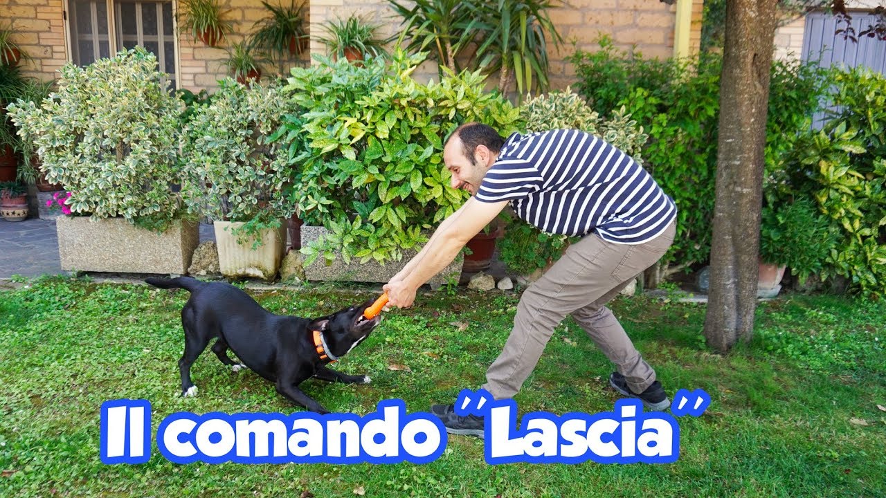 Il comando '' Lascia ''