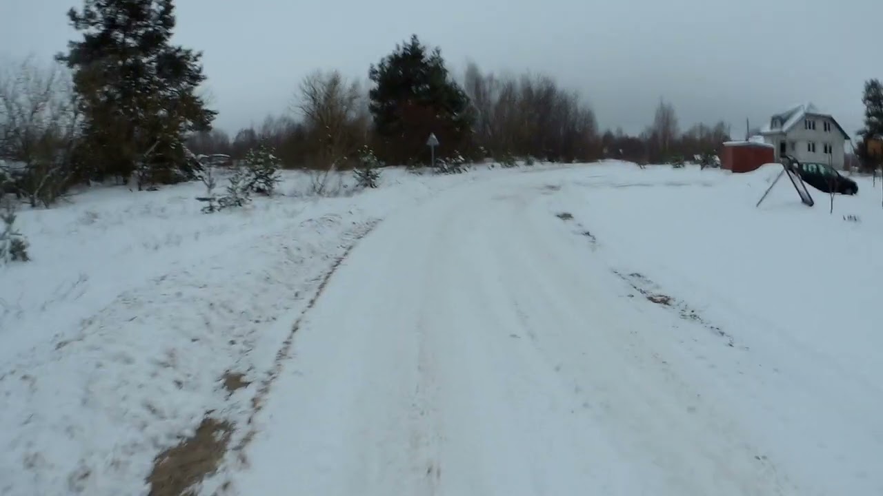 ВЫБОР СОРТОВ ГОЛУБИКИ.