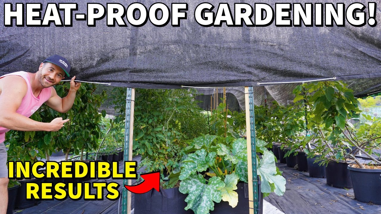 Protect Your Garden From HEAT With SHADE CLOTH For Incredible Results!