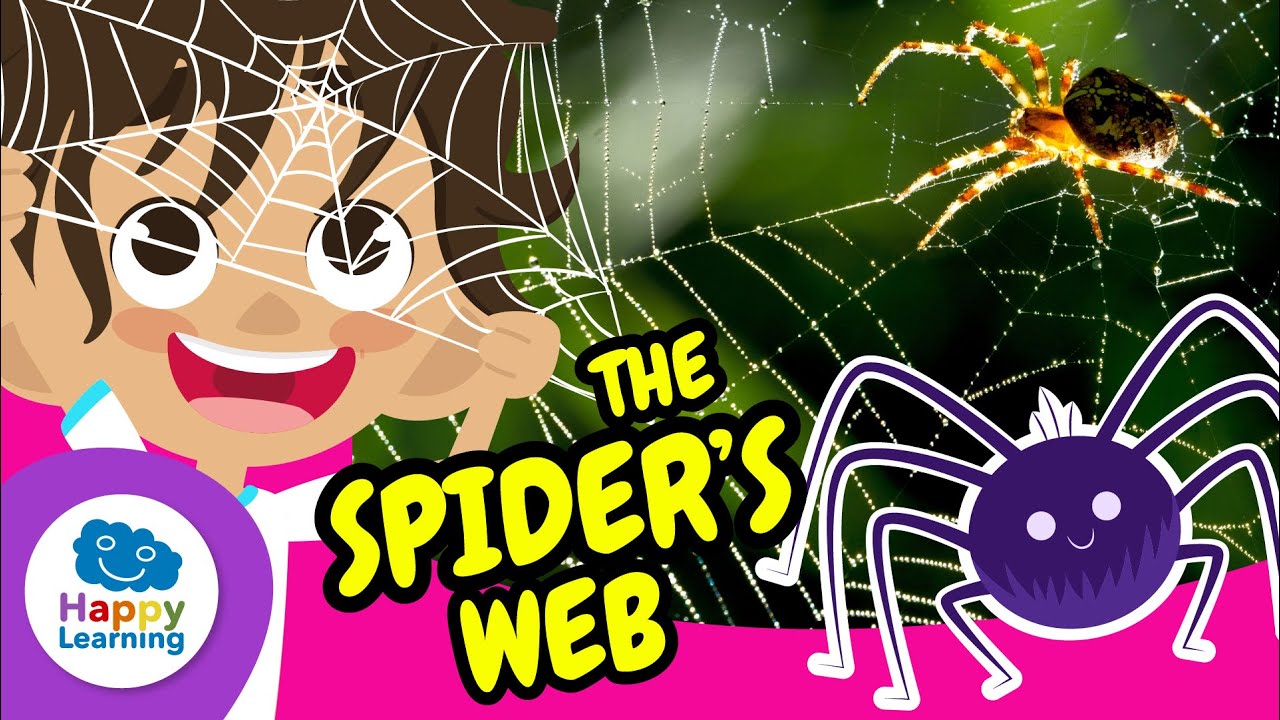 The Spider Web and Its Incredible Secrets | Happy Learning 🕸️🕷️🌍