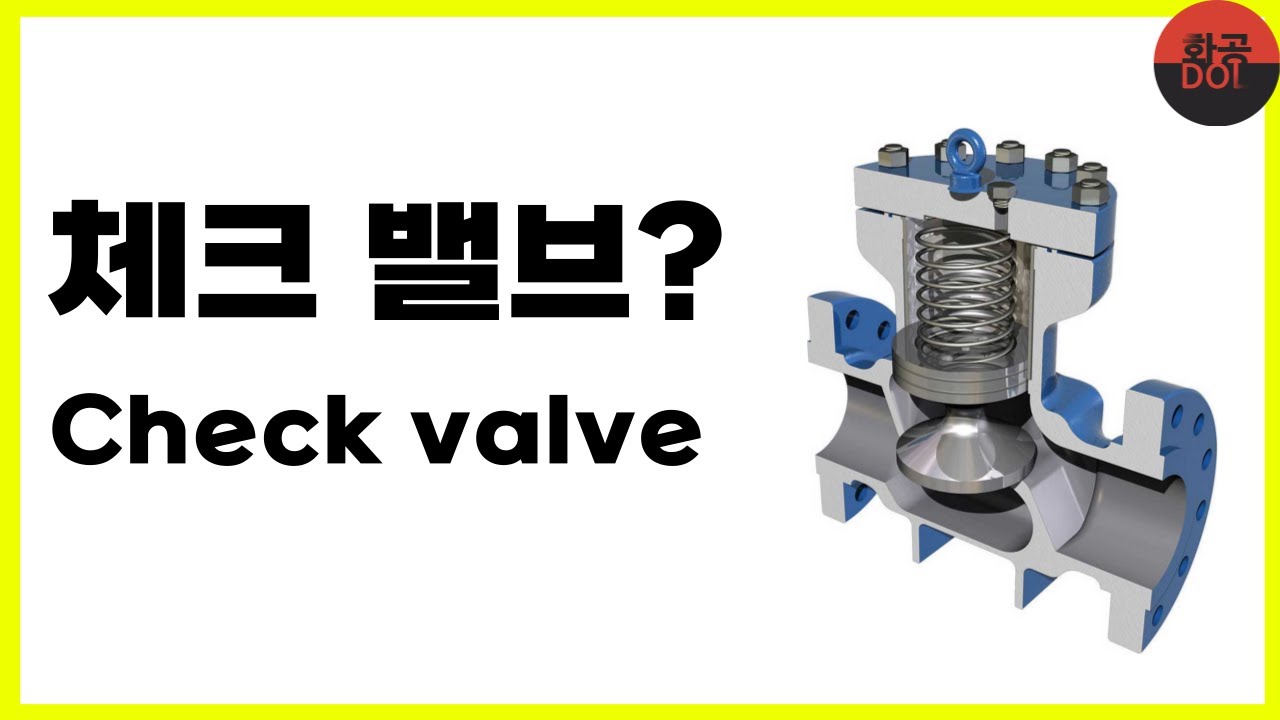 체크 밸브? (Check valve)