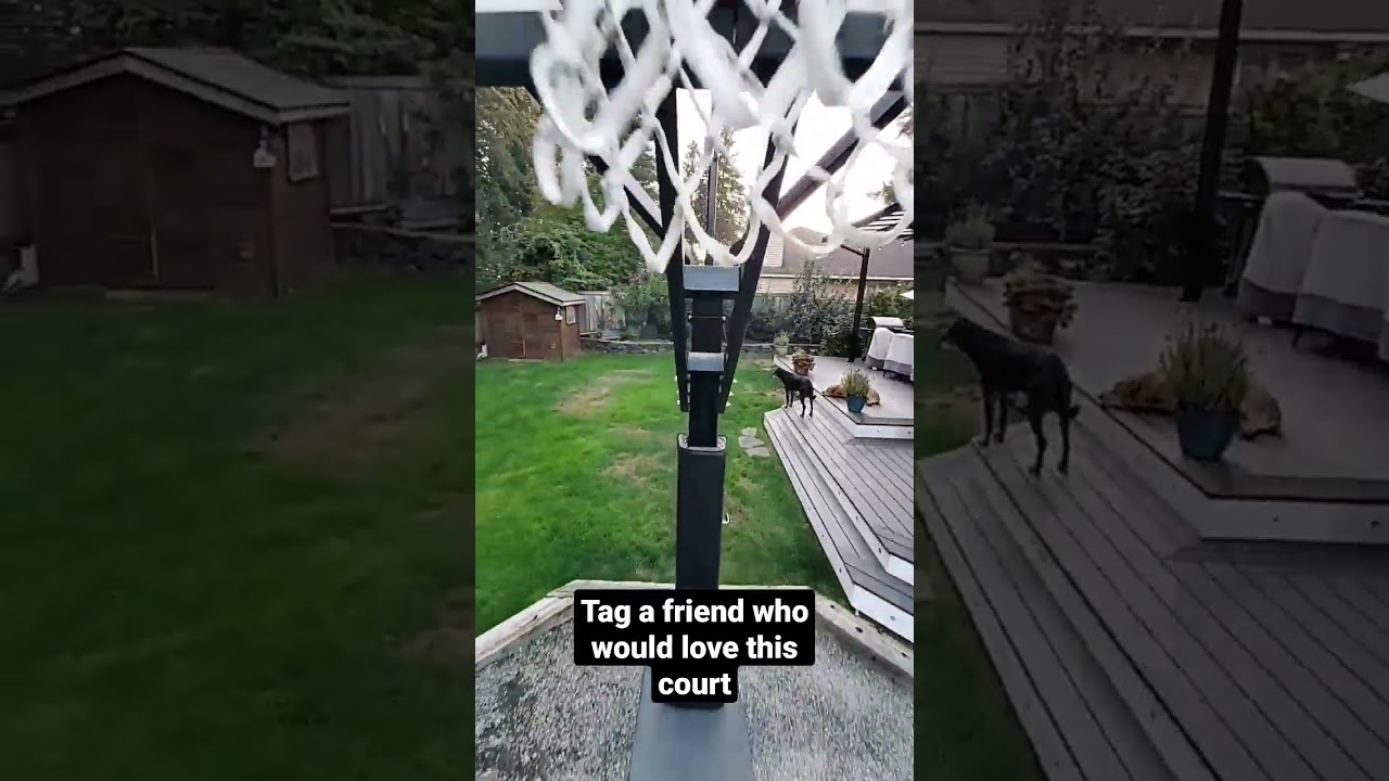 Amazing backyard basketball court