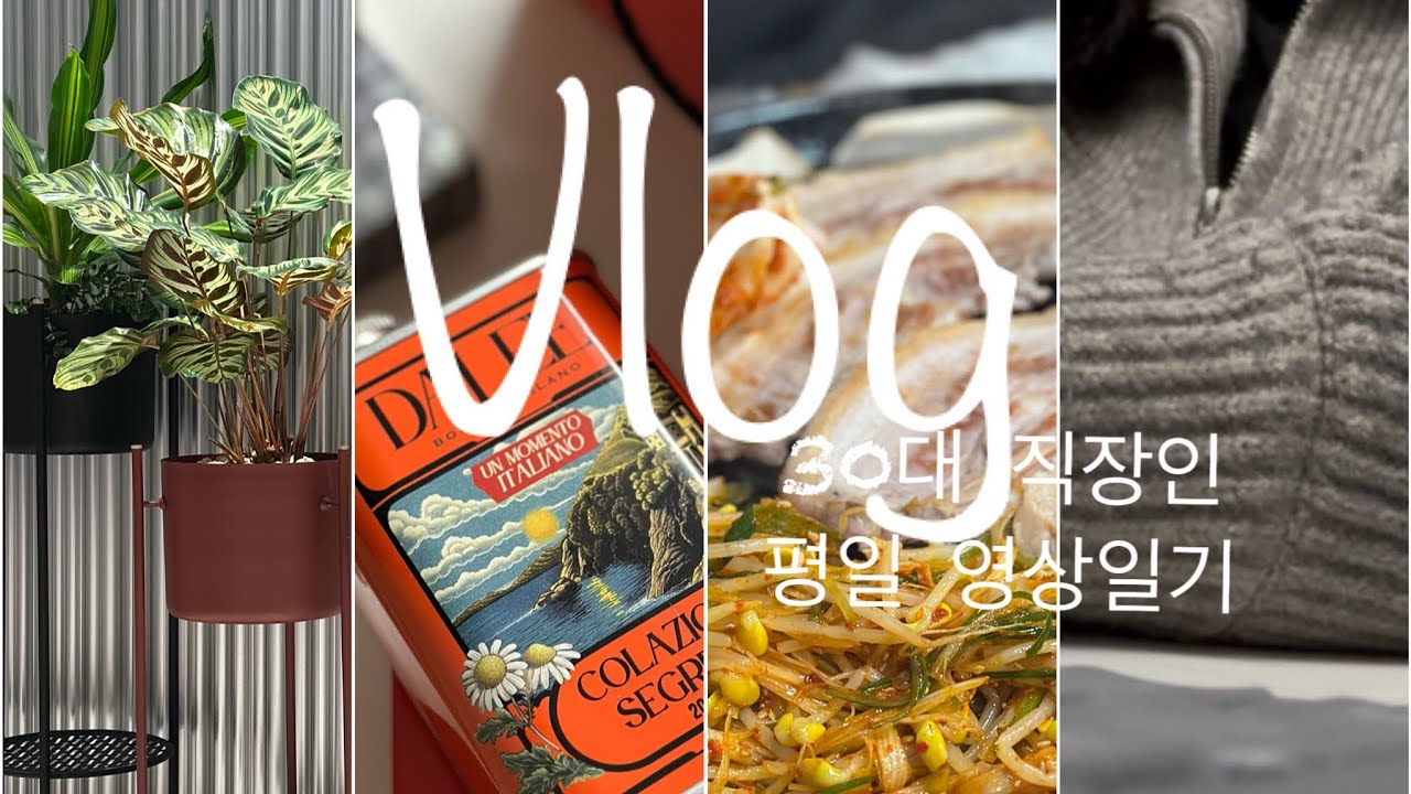 30대 직장인 평일 영상일기vlog(퇴근 후 집가는거 나만 좋아?)