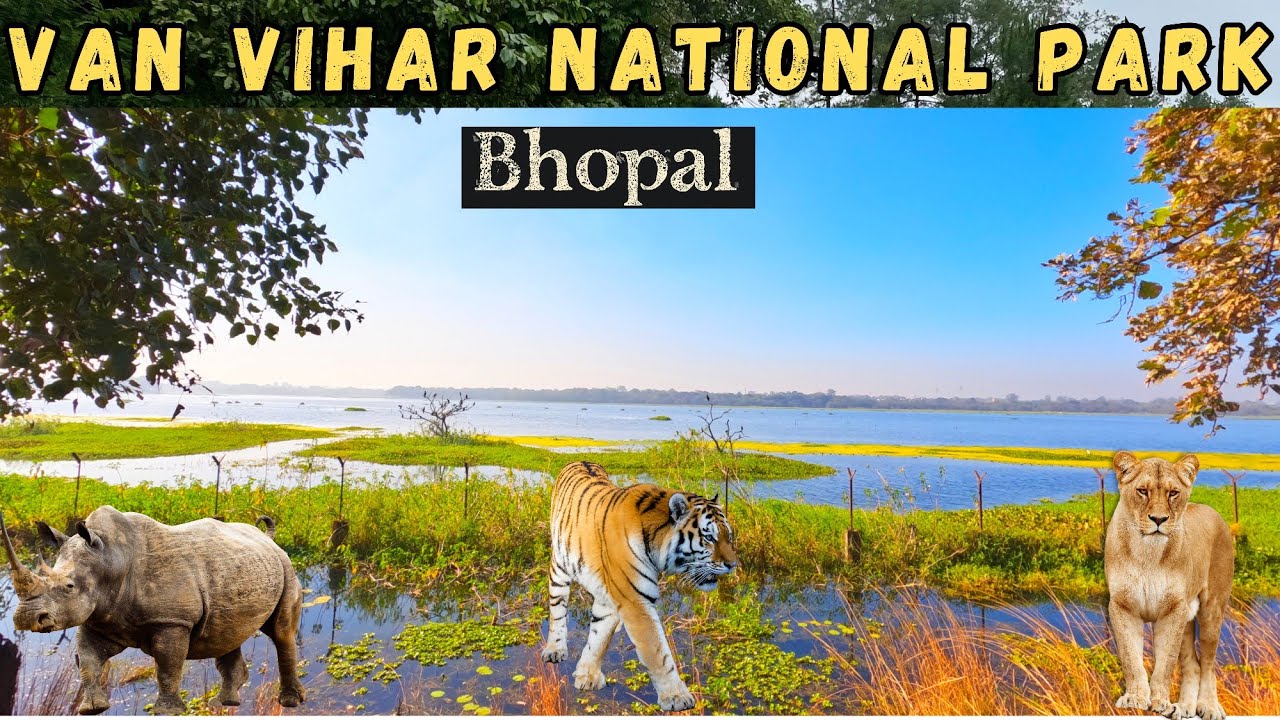 Van Vihar National Park Bhopal | वन विहार राष्ट्रीय उद्यान | Full Tour Ticket Timings |