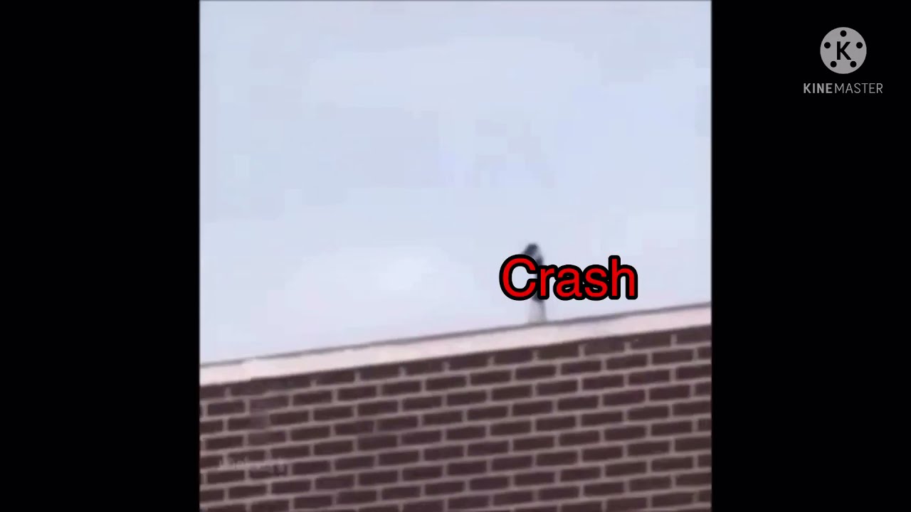 Crash Bandicoot vines that make me go N.Sane