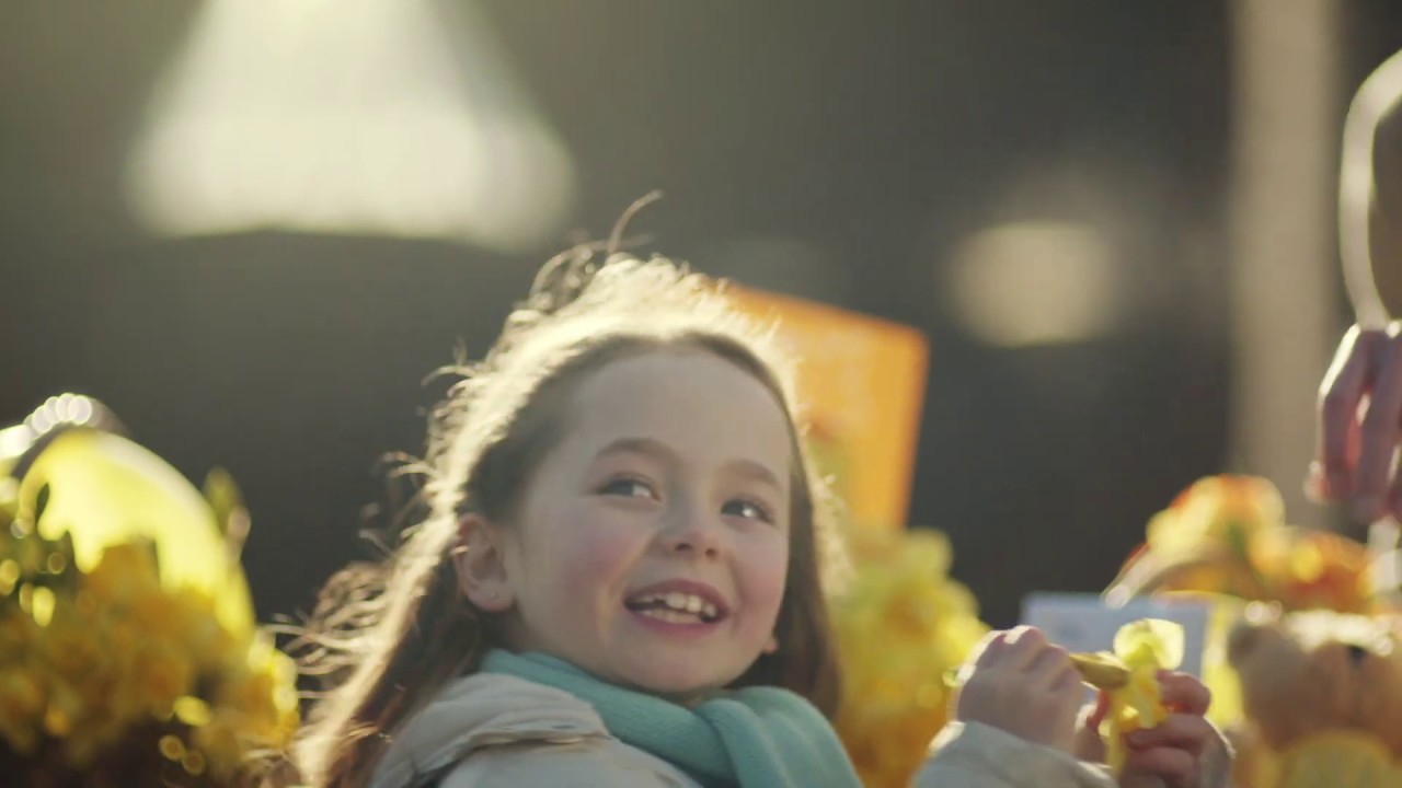 Join the Irish Cancer Society for Daffodil Day 2019