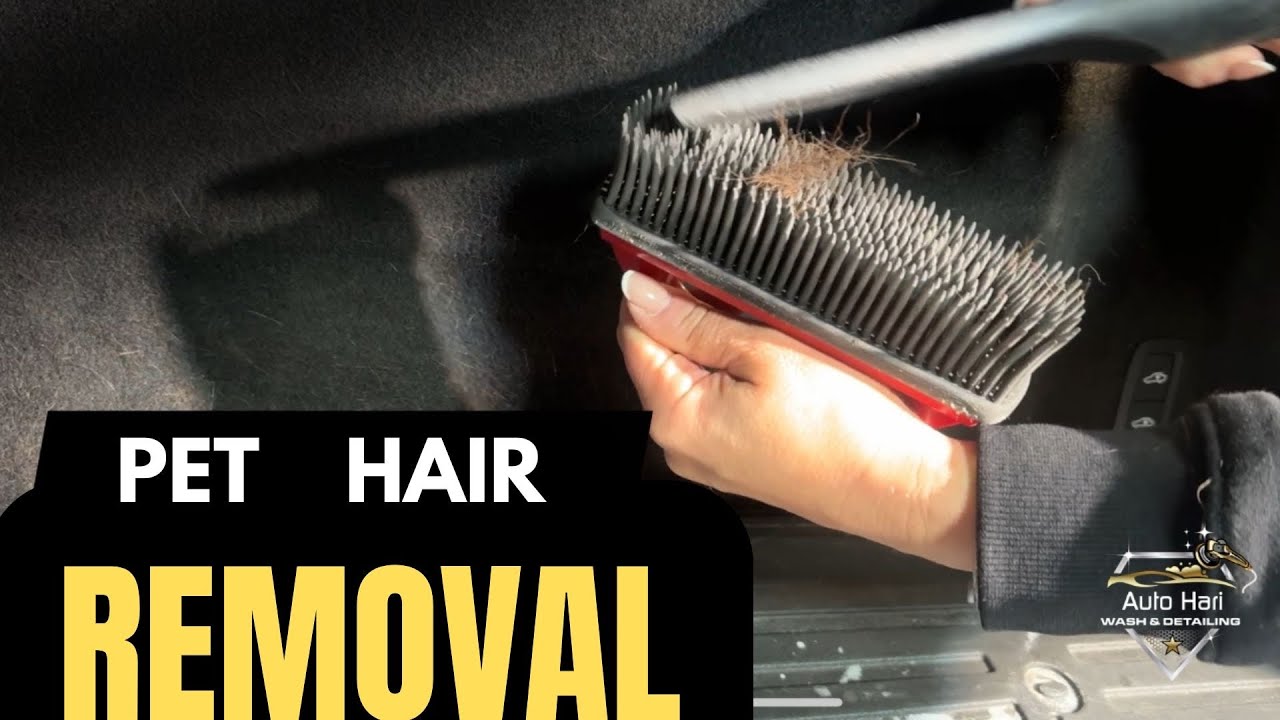 How to Remove Dog Hair from Car Interior | Trunk Deep Cleaning Tutorial ✅