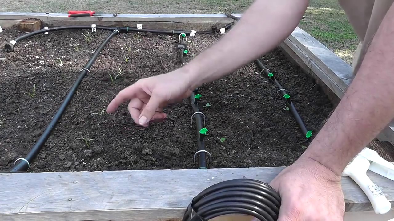Installing a Drip Irrigation System for Raised Beds