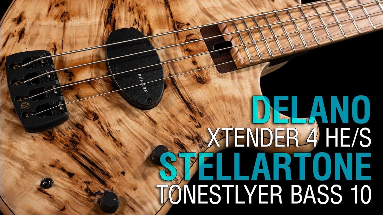 Delano Xtender 4 HE/S + Stellartone Tonestyler Bass 10 // Maruszczyk Frog Omega 4p