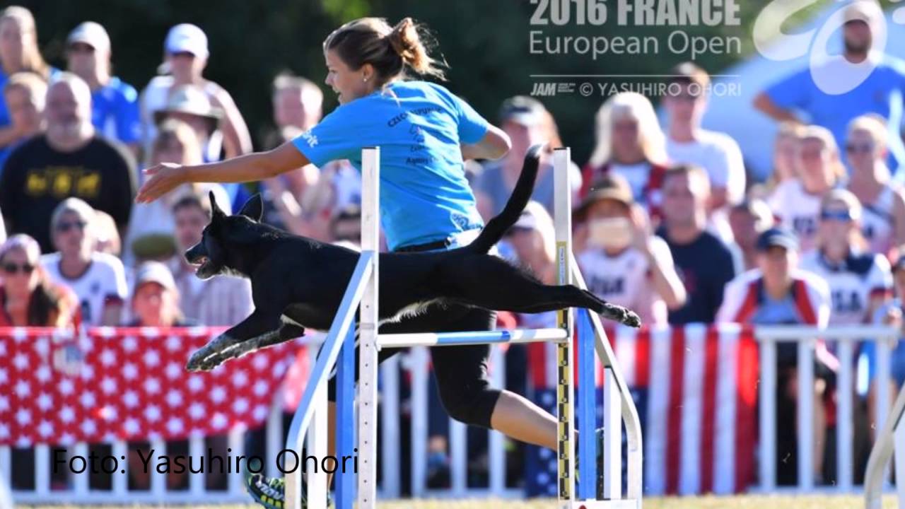 Say winning EO & BCC 2016, all our runs :-)
