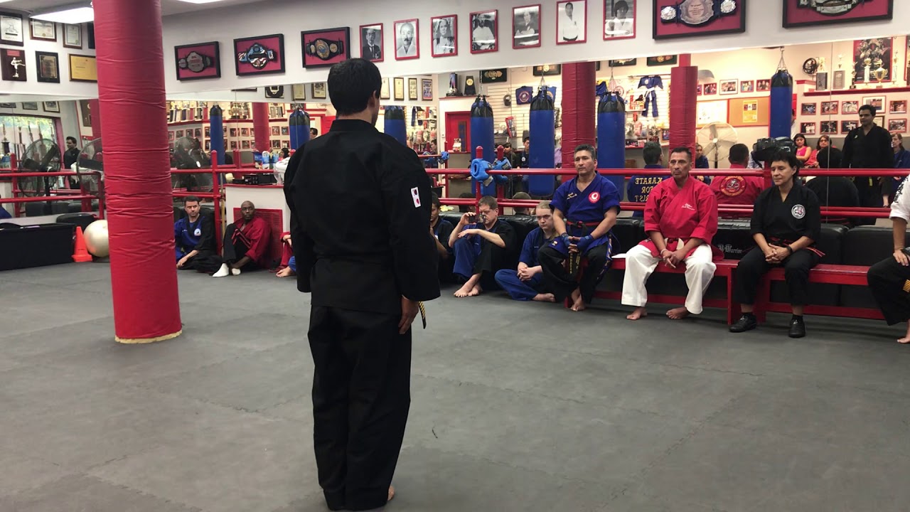 EARTH POOMSE/KATA -Master Marco Sies 9th Dan Belt Promotion