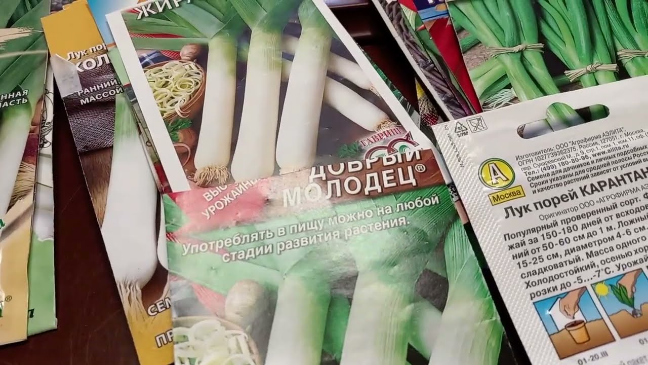 ЛУК ПОРЕЙ  МОЙ ВЫБОР.