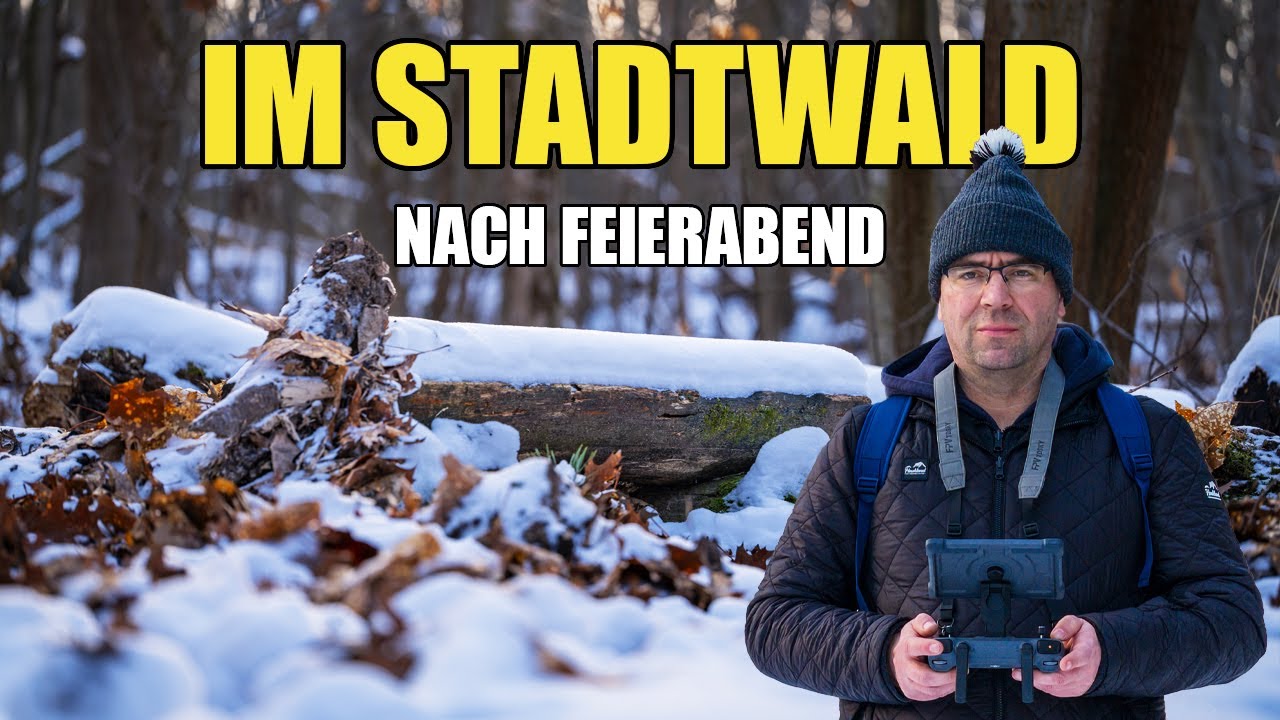 Nach Feierabend im Stadtwald – Fotowalk, Drohne & Geschichte an der Goitzsche