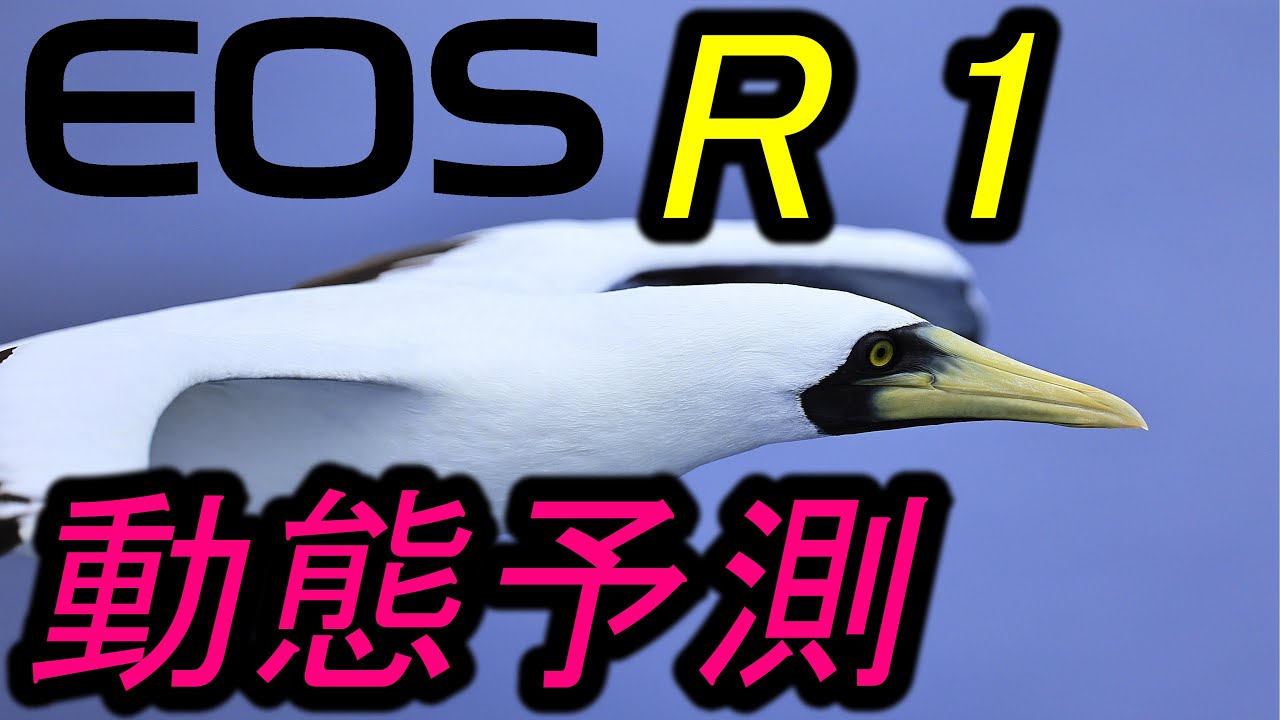 EOS R1，動態予測とAIサーボAF