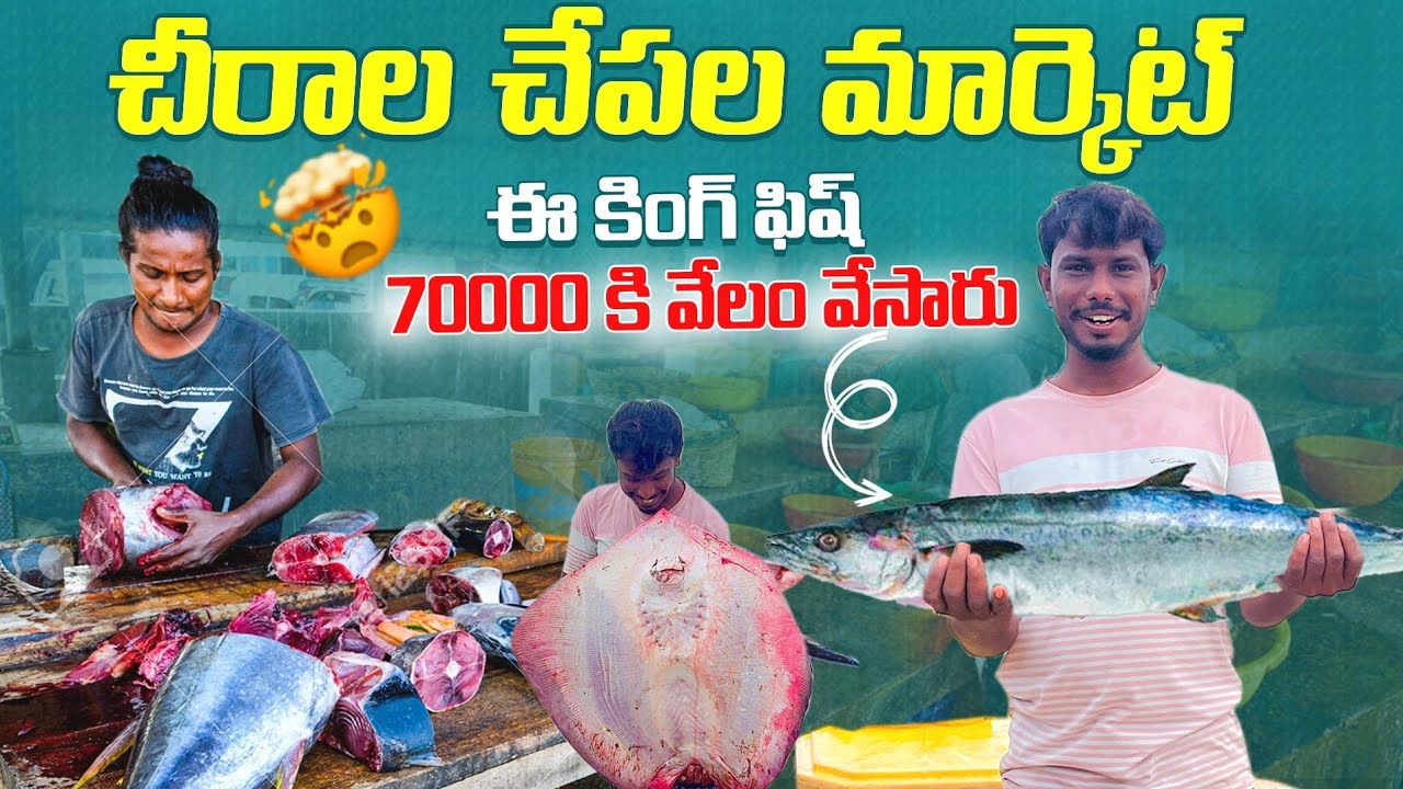 👉 చీరాల చేపల మార్కెట్‌లో షాకింగ్ ప్రైస్‌లు | 70,000కి కింగ్ ఫిష్ | Chirala Fish Market Vlog