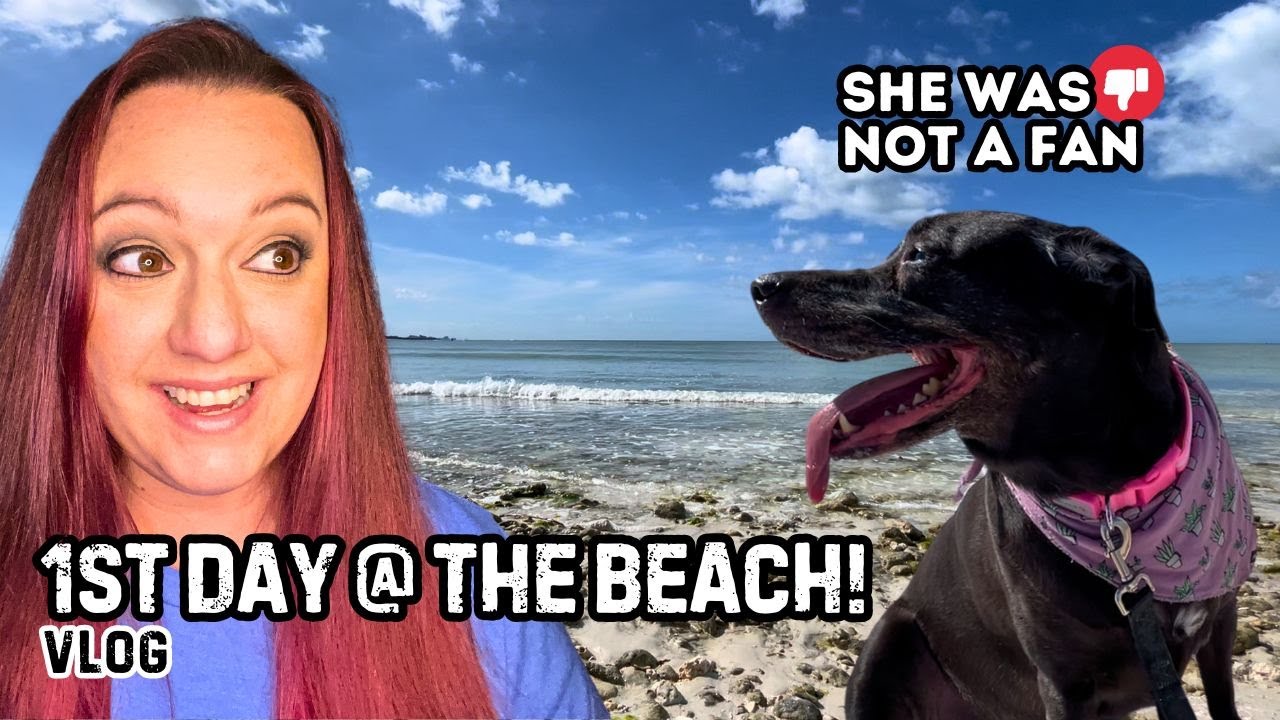 Kona's Beach Trip & Adventures Before Surgery | Life Vlog