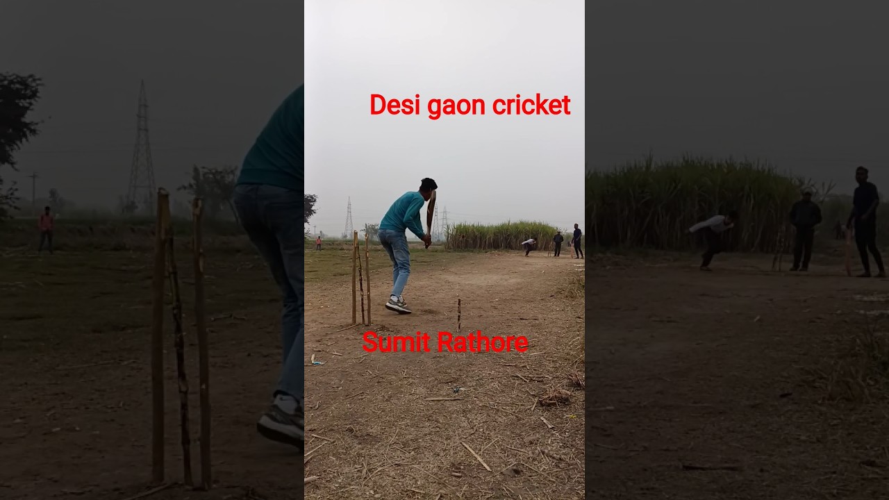 desi gaon cricket 