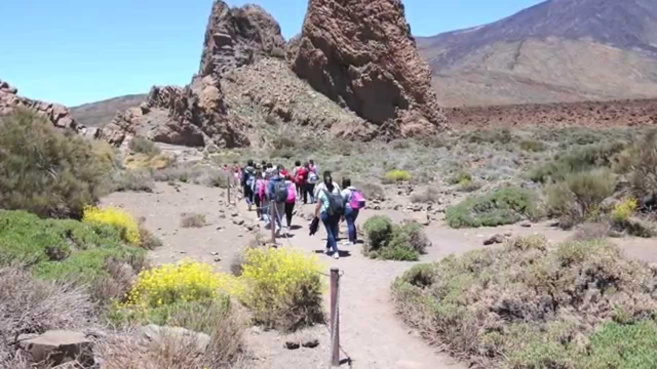 IES SCHAMANN-TEIDE