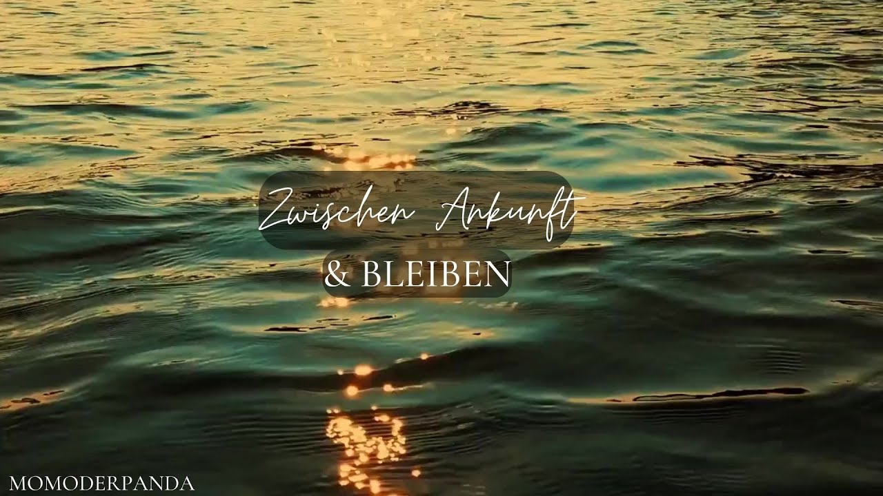 Zwischen Ankunft & Bleiben