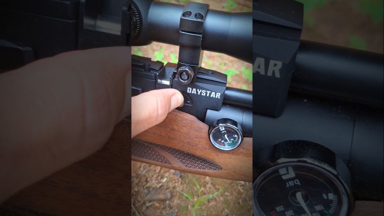 Air Rifle PCP Reximex Daystar/ Vector Optics Orion Promax 4-16x44 #airgun #airriflehunting
