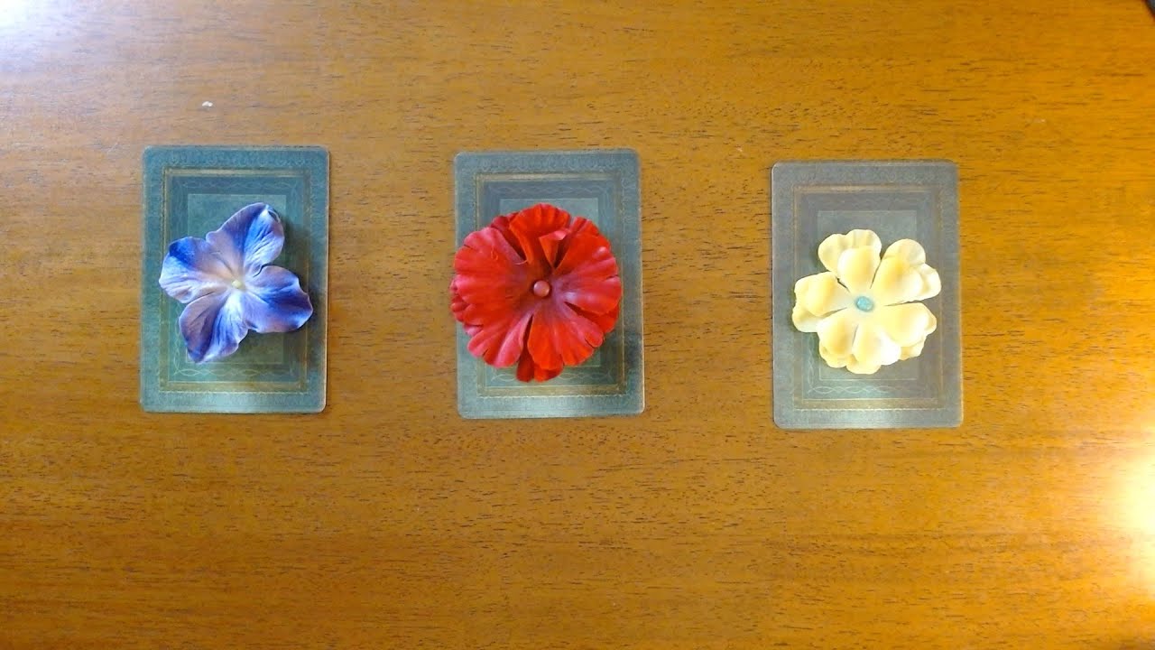 NO CONTACT-WHAT ARE THEY THINKING *Pick a card*