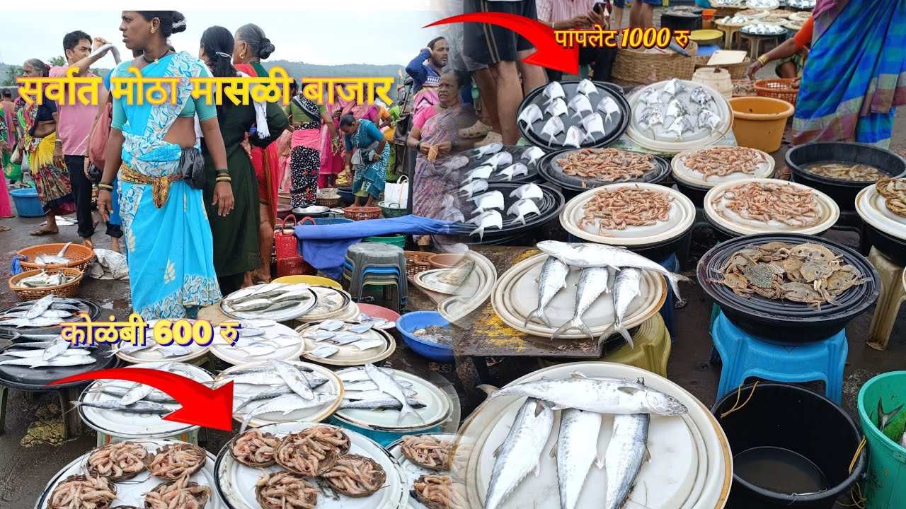 कोकणातील प्रसिद्ध फिश मार्केट हर्णे🐟Biggest Fish Market Harnai | Dapoli 