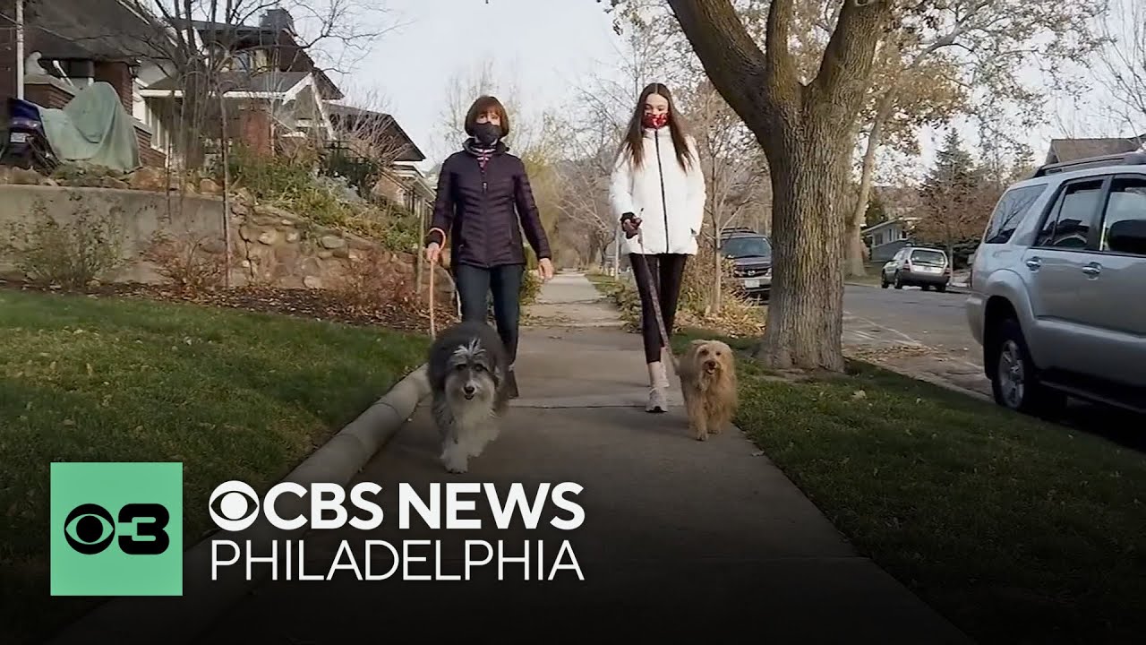 Why some people connect well with animals | Pet Project