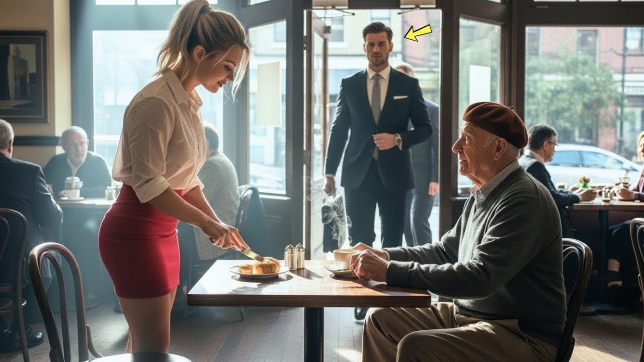 She Helped an Old Man Every Day — Until His Grandson Walked In With Lawyers and Changed Everything…