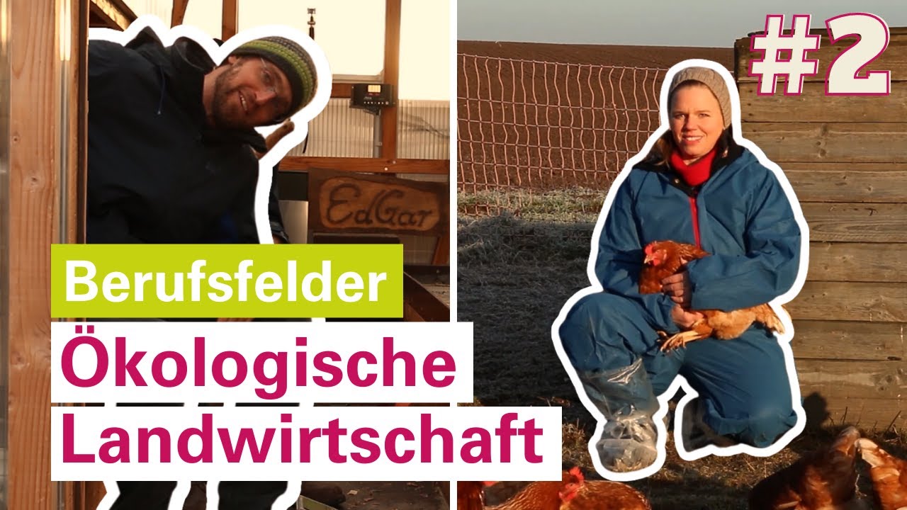 Berufsfeld Ökologische Agrarwissenschaften | Universität Kassel