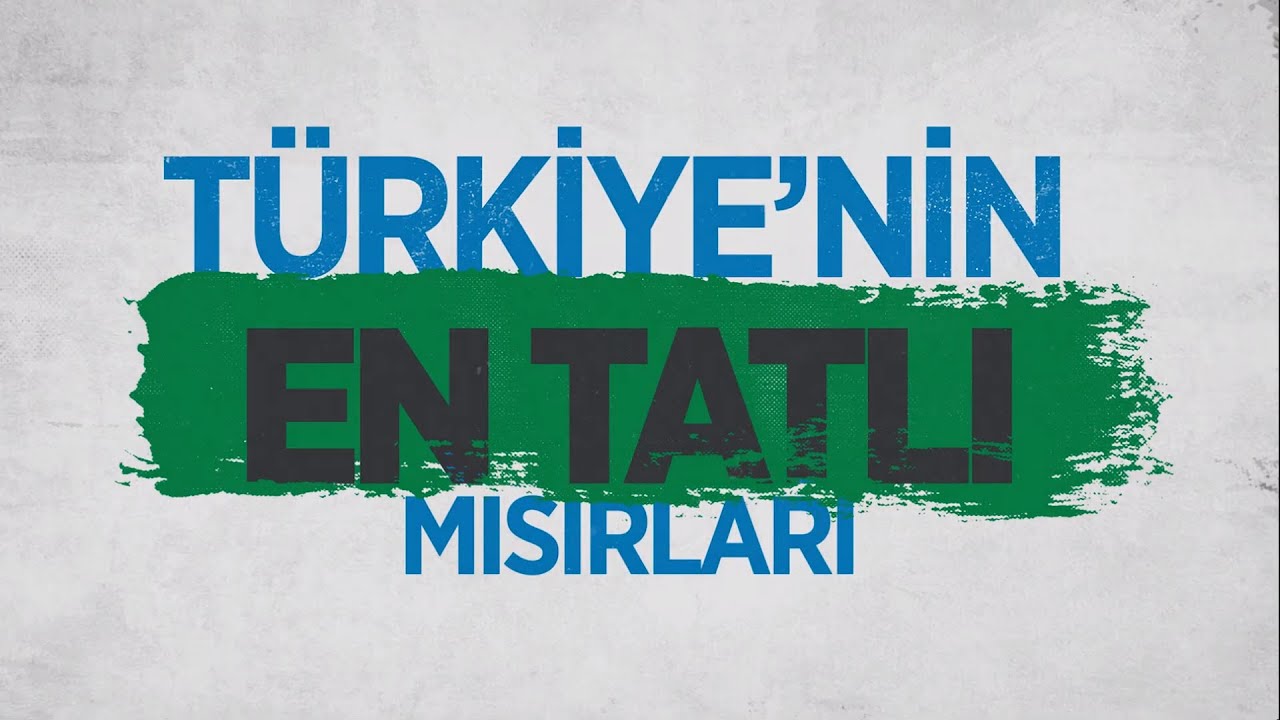 TATLI MISIR ÇEŞİTLERİMİZ