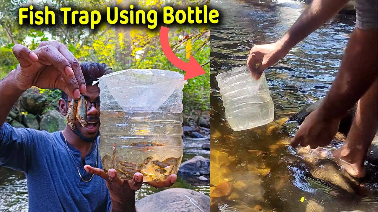 Oh' இப்படியும் மீன் பிடிக்கலாமா | Fish Trap Making Using Bottle And Fish Catching | Do It Tamilan