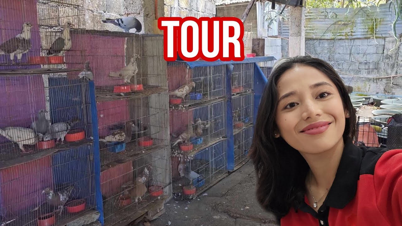 Tour sa Breeders Area ng mga Rare Offcolor