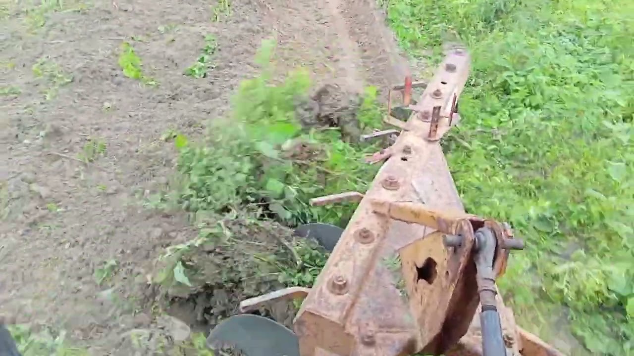 Cortando terra pra plantar maniva de mandioca......