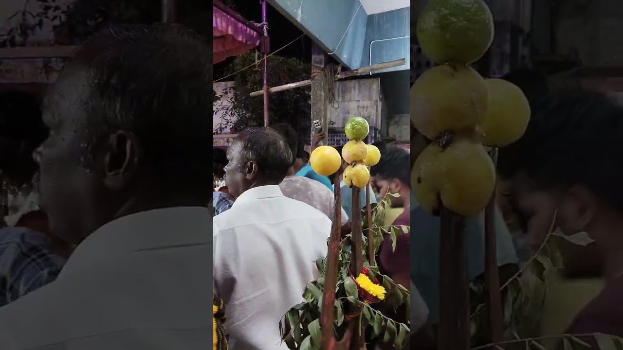 நிர்ணயப்பட்டு கிராமத்தில் எழுந்தருளிய அங்காளப்பரமேஸ்வரி அம்மன் நிசாசனி வதம் செய்தல்  வீடியோ 