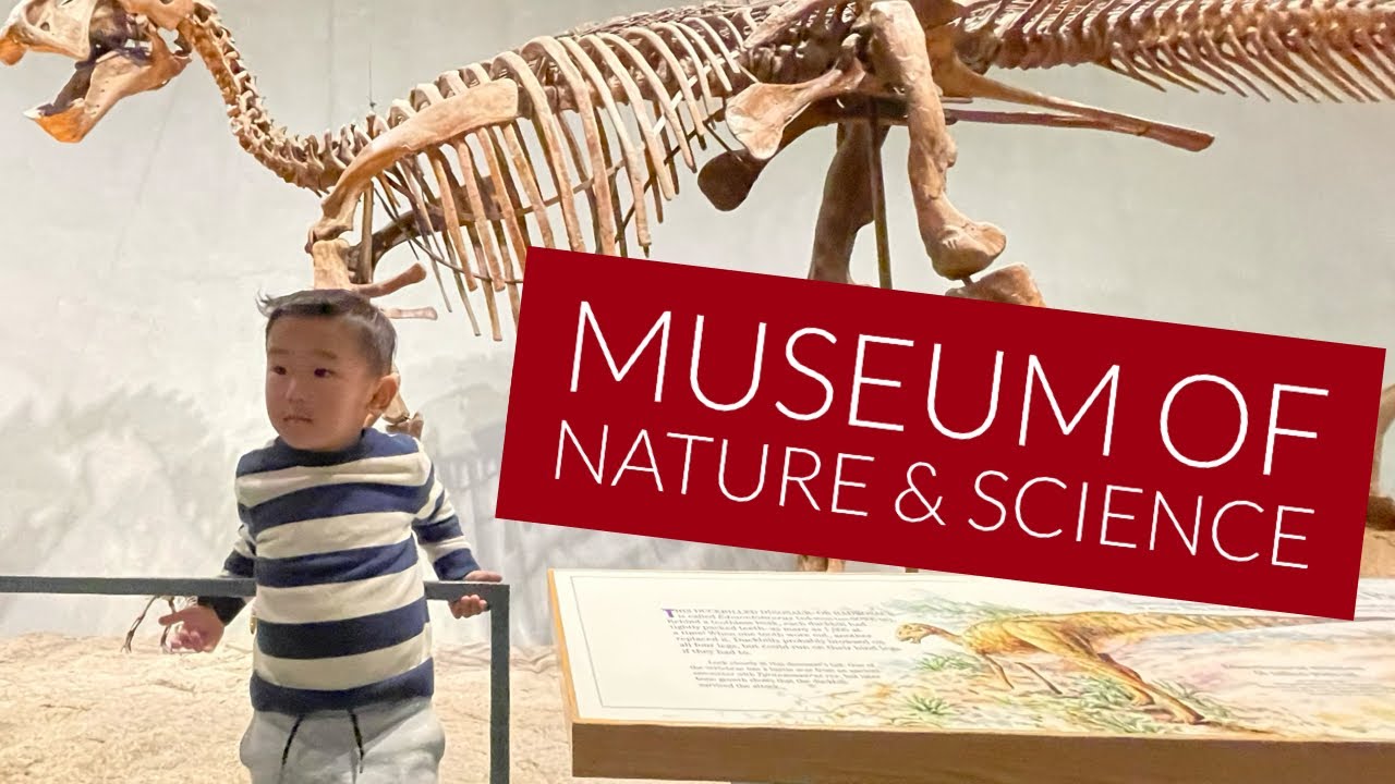 Denver Museum of Nature & Science || February 22, 2024 ￼