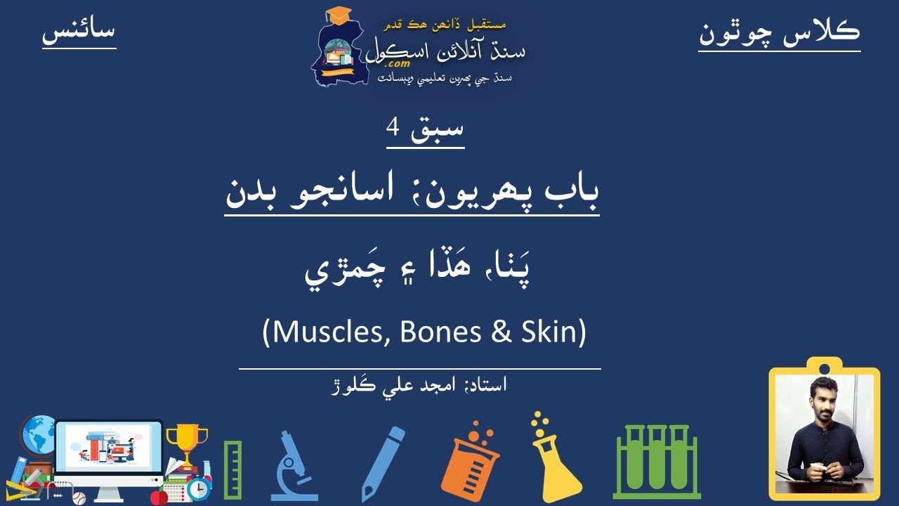 Muscles, Bones & Skin| Science Class 4| Chapter 1| Lesson 4| Sindh Online School