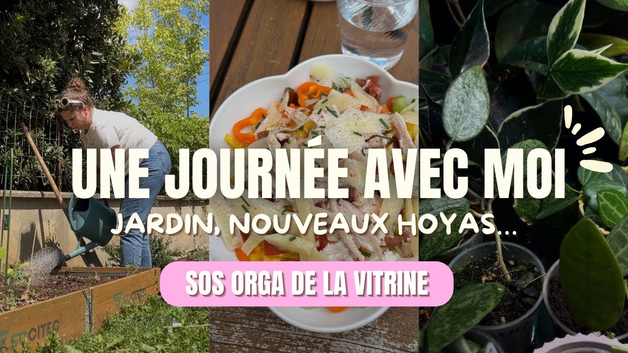 NOUVEUX HOYAS ! Du boulot dans le potager. Ma vitrine me rend folle, comment l’optimiser ?