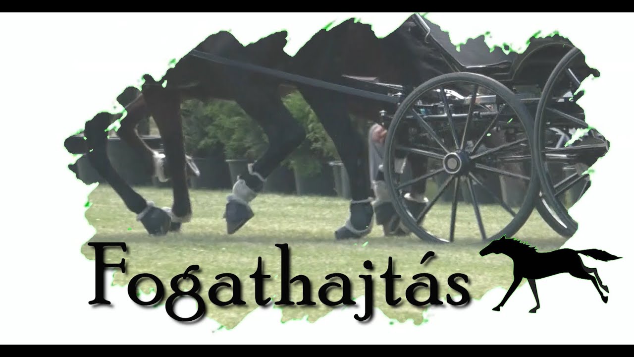 Fogathajtás Magazin 2022. június