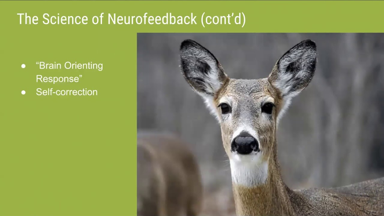Whole Family Neurofeedback 101