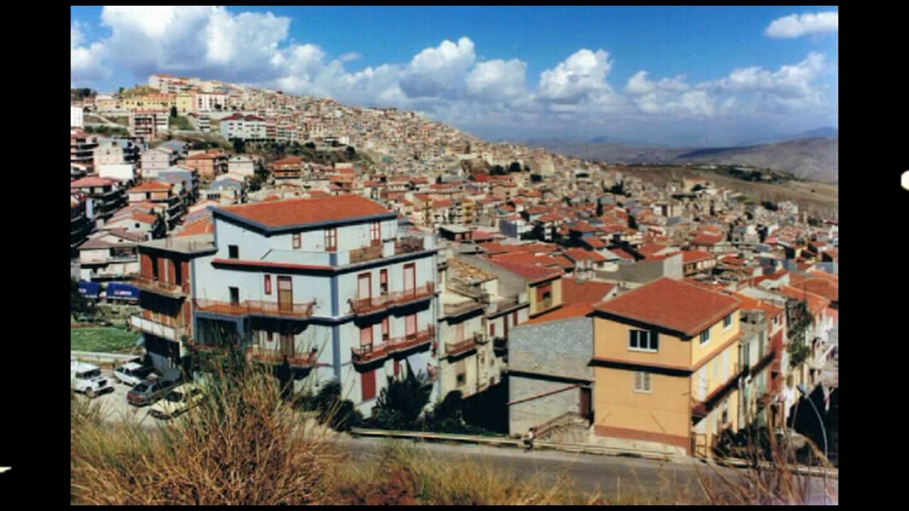 Cammarata