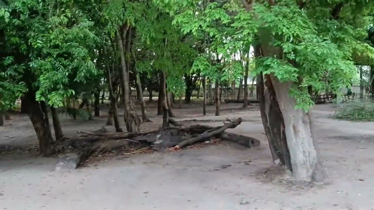 ทำได้ลงมือทำเลย(บุญ)