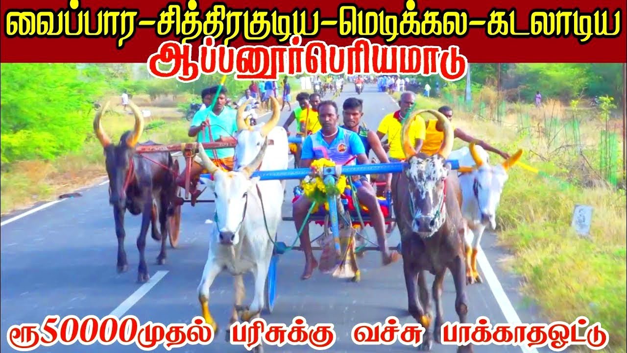 ஆப்பனூர் பெரியமாடு பந்தயம்